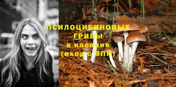 кокаин VHQ Гусев