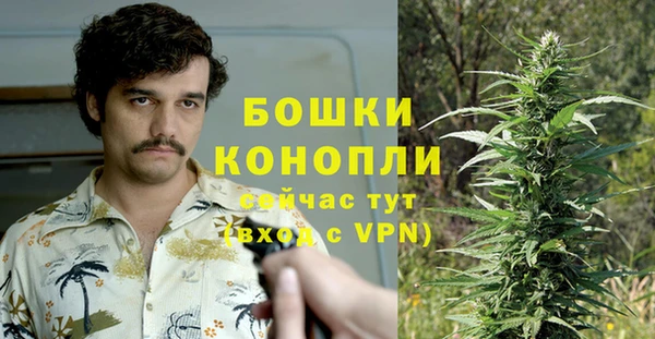 амф Тобольск