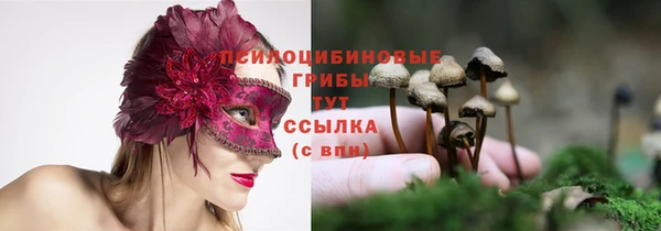 сатива Гусь-Хрустальный