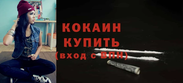 сатива Гусь-Хрустальный
