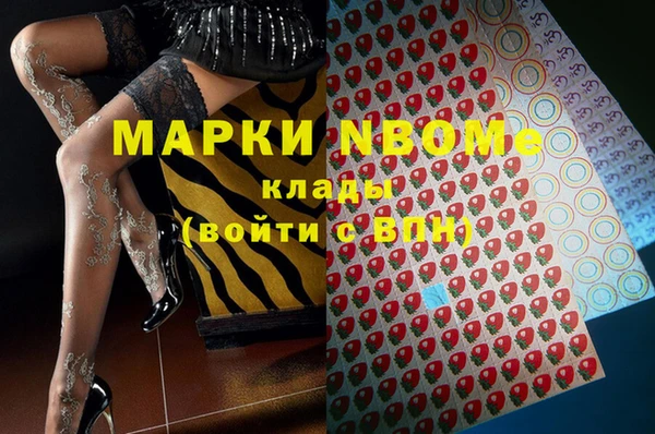 ГАЛЛЮЦИНОГЕННЫЕ ГРИБЫ Горно-Алтайск