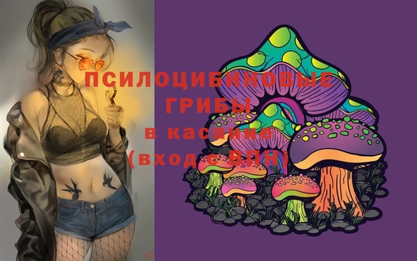 ПСИЛОЦИБИНОВЫЕ ГРИБЫ Дмитров