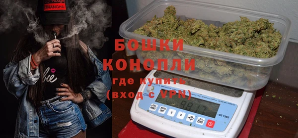 сатива Гусь-Хрустальный