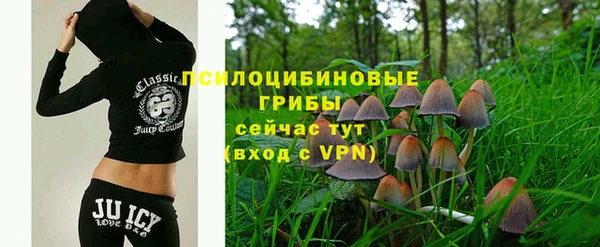 сатива Гусиноозёрск