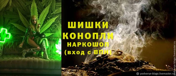 ALPHA PVP Горнозаводск