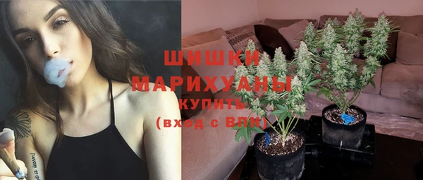 сатива Гусиноозёрск