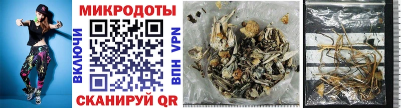 МЕГА ТОР  Кириллов  Галлюциногенные грибы Psilocybine cubensis 